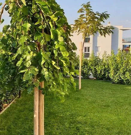 Sea View Apartments Žaborić Exterior foto